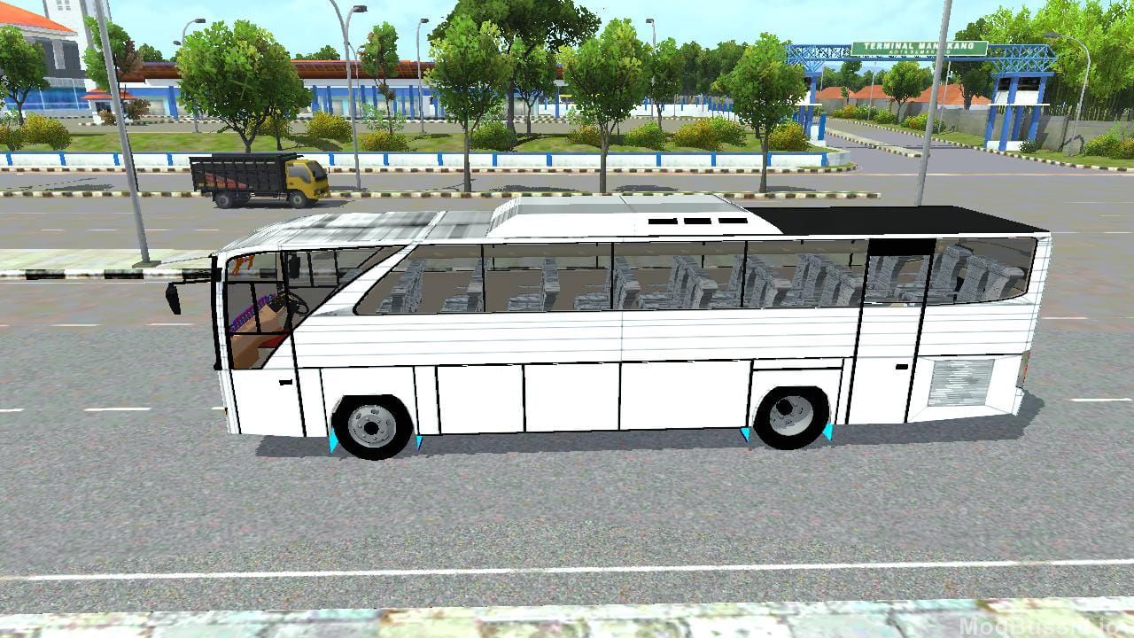Photo of BUS TUS 4