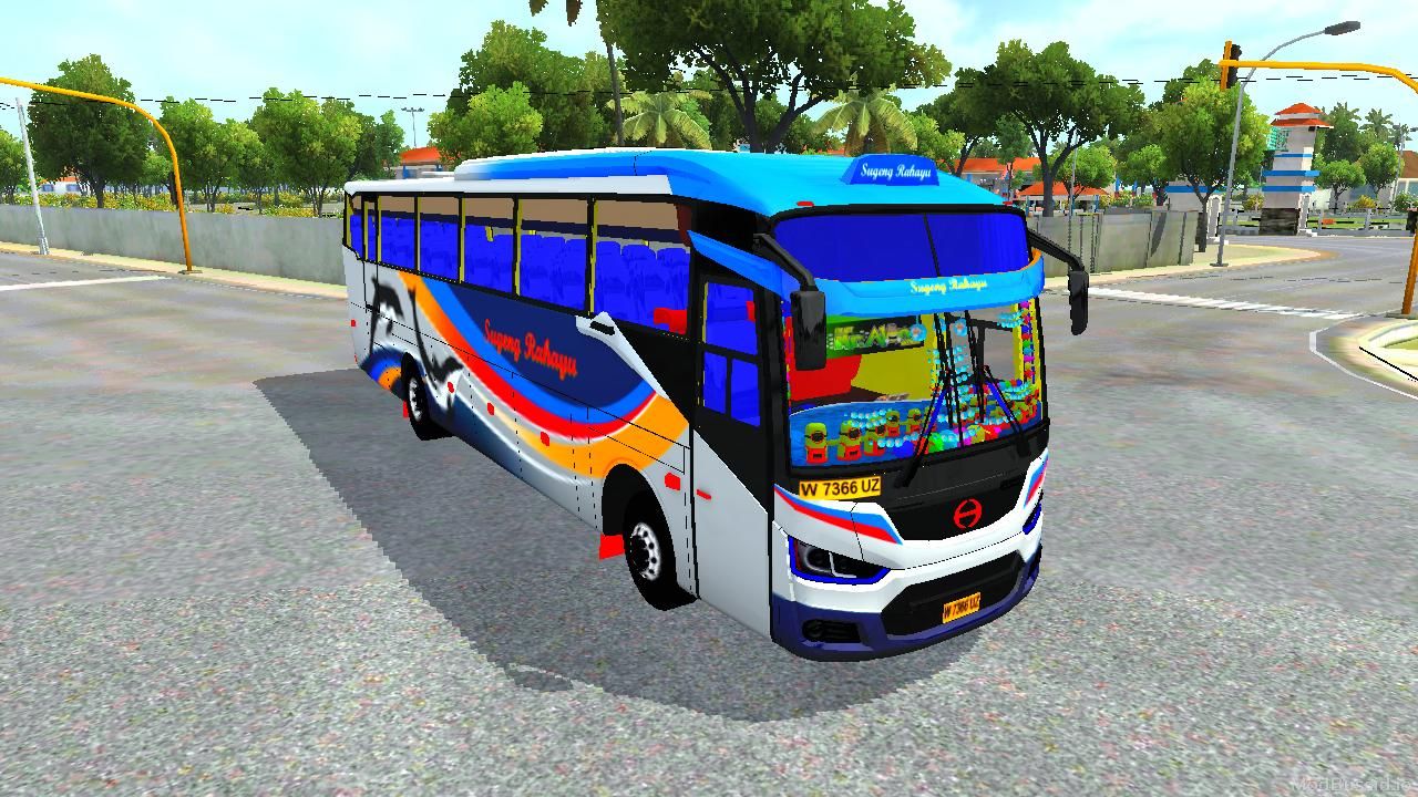 Photo of Bus DC3 2