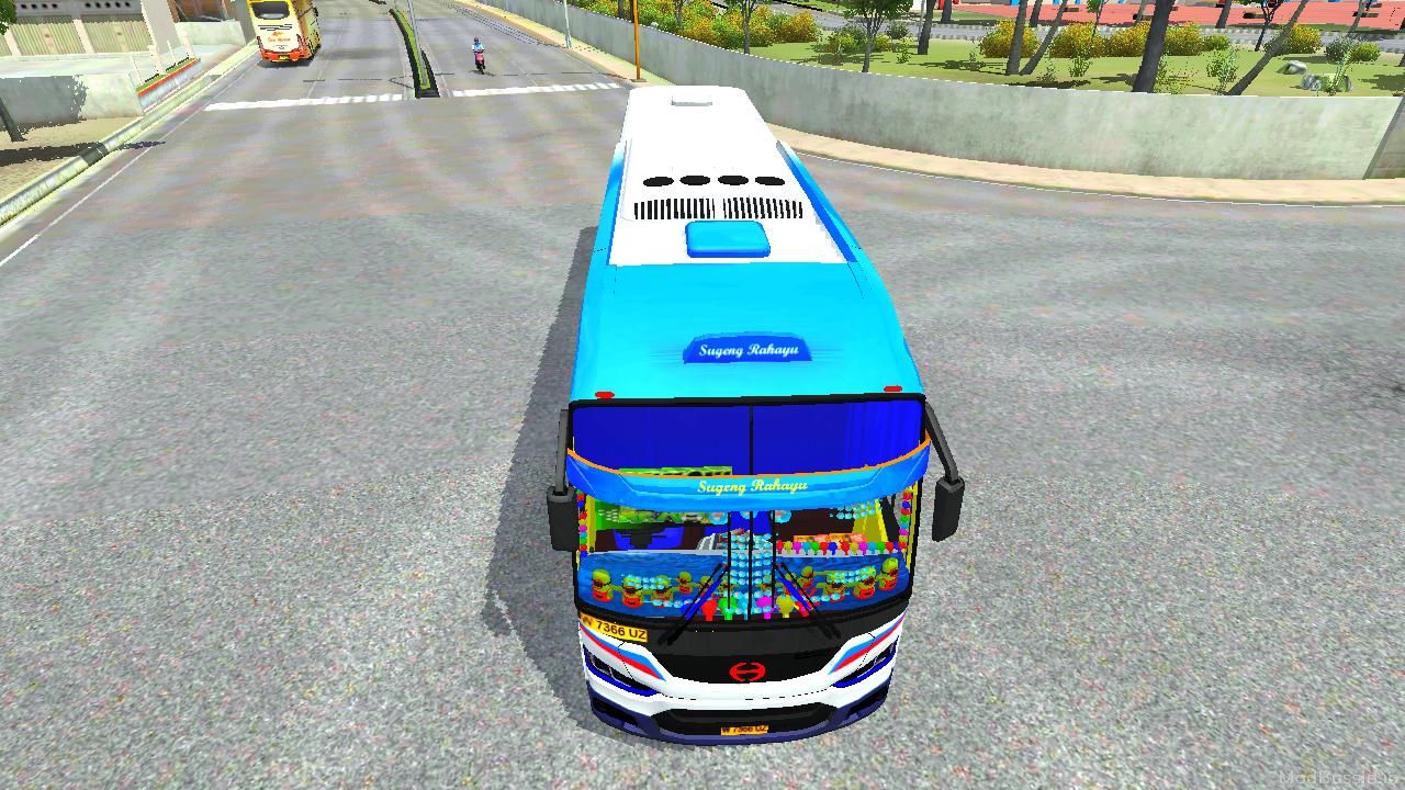 Photo of Bus DC3 3