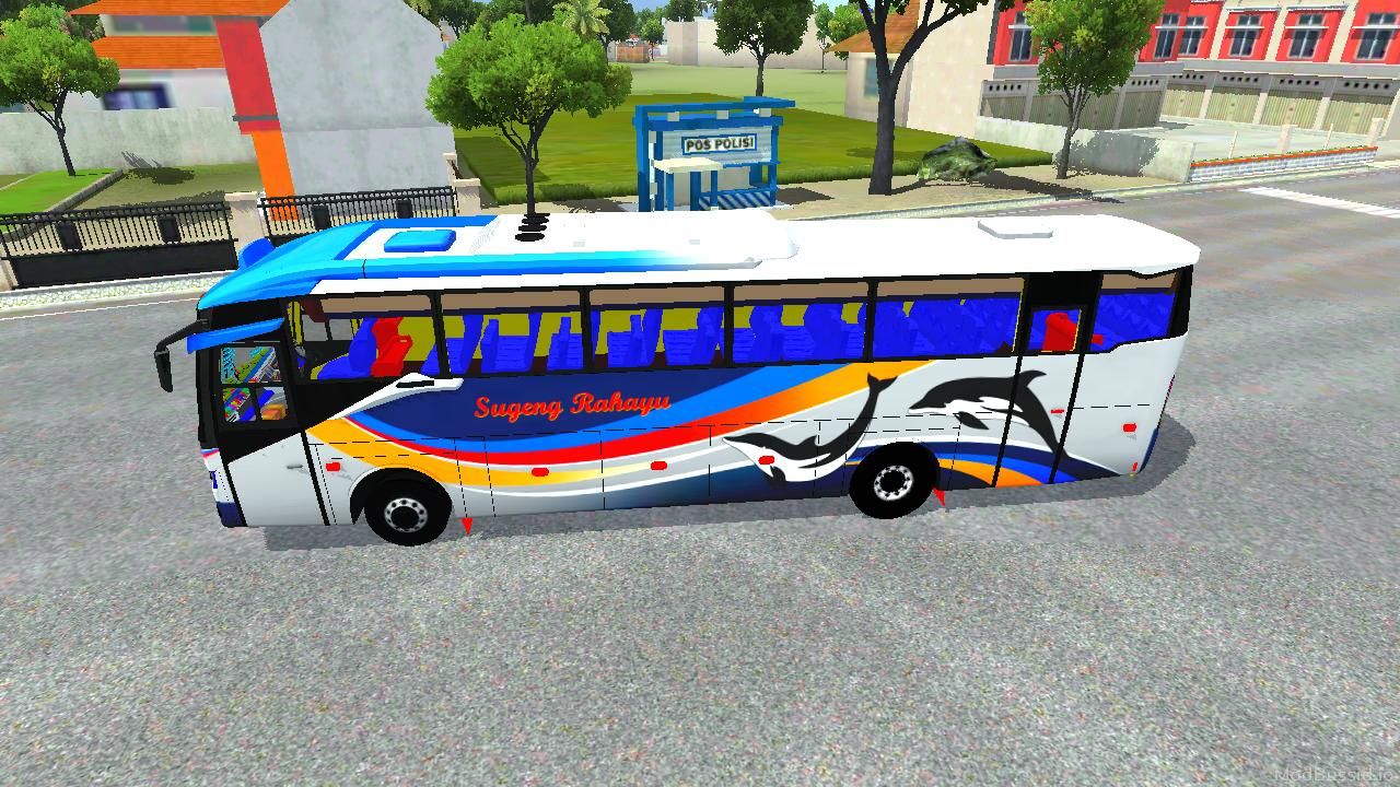 Photo of Bus DC3 4