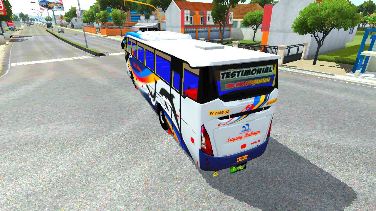 Photo of Bus DC3 6