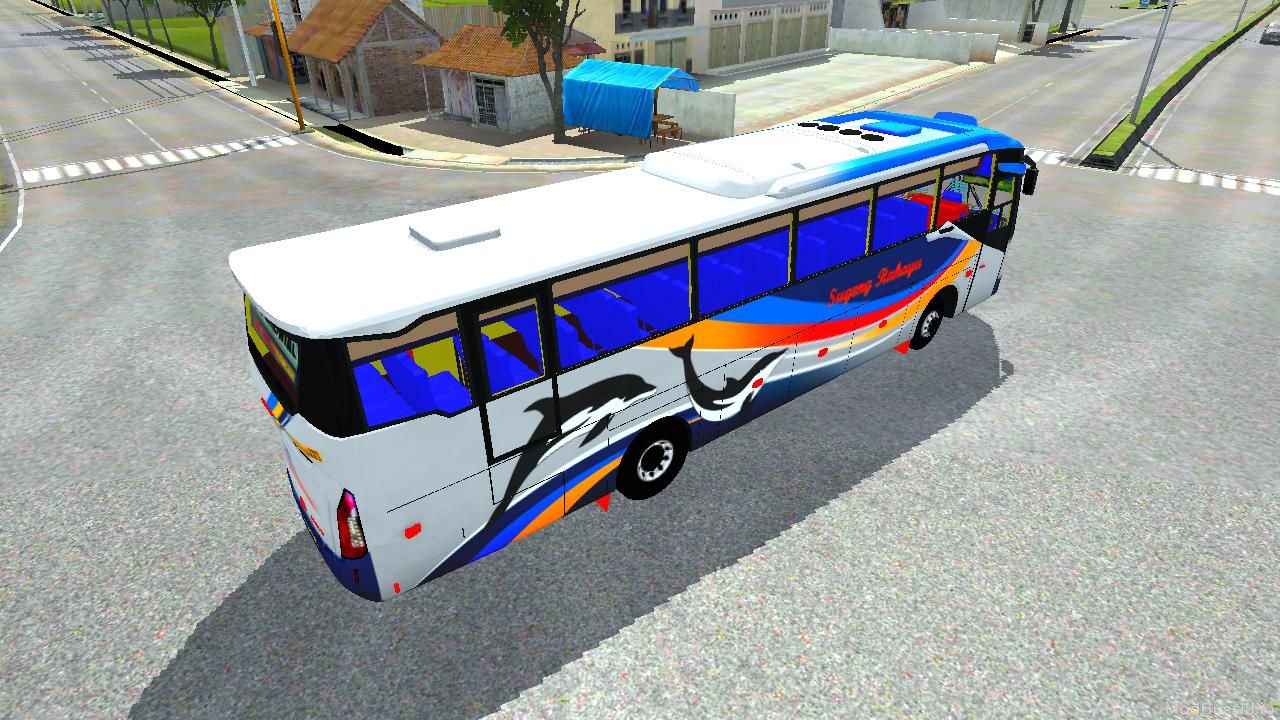 Photo of Bus DC3 5