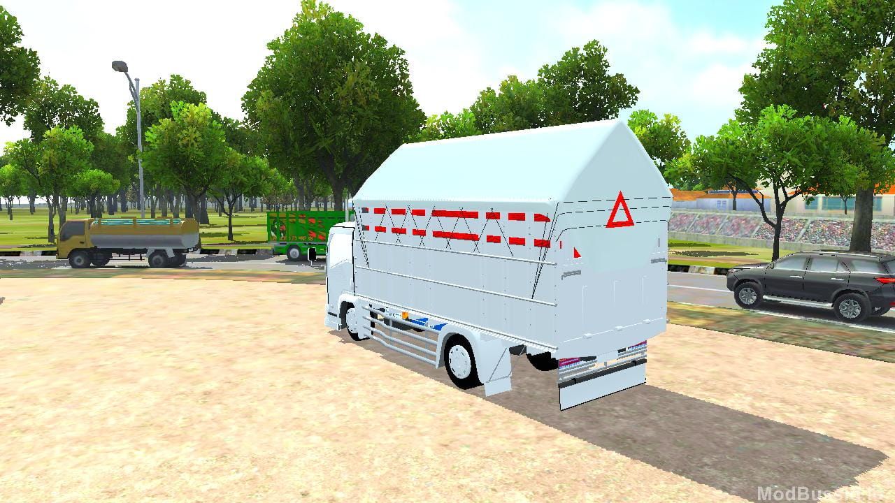 Photo of NMR 71 GRACEFUL 6