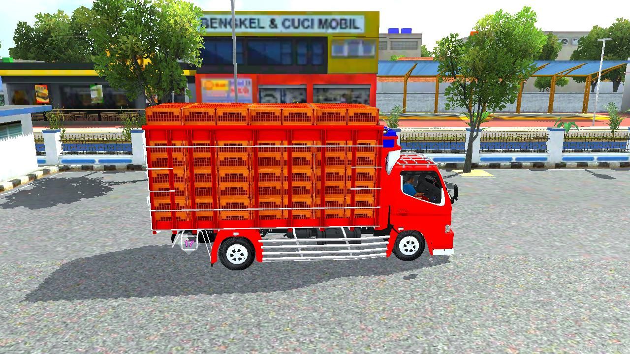 Photo of Canter Ayam Custom Budesign 4