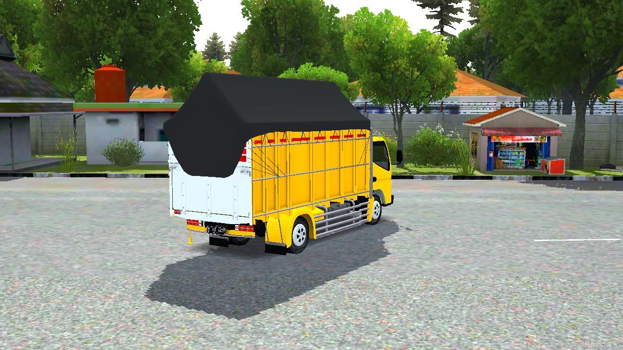 Photo of Canter Herexan Stenlisan 5