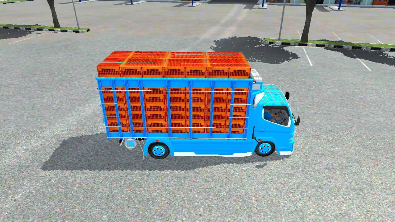 Photo of Canter Immanuel Budesign 5