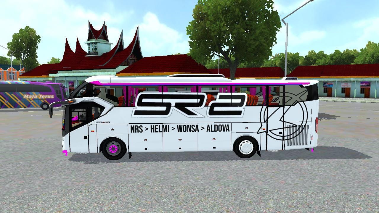 Photo of SR2 XHD HINO 3