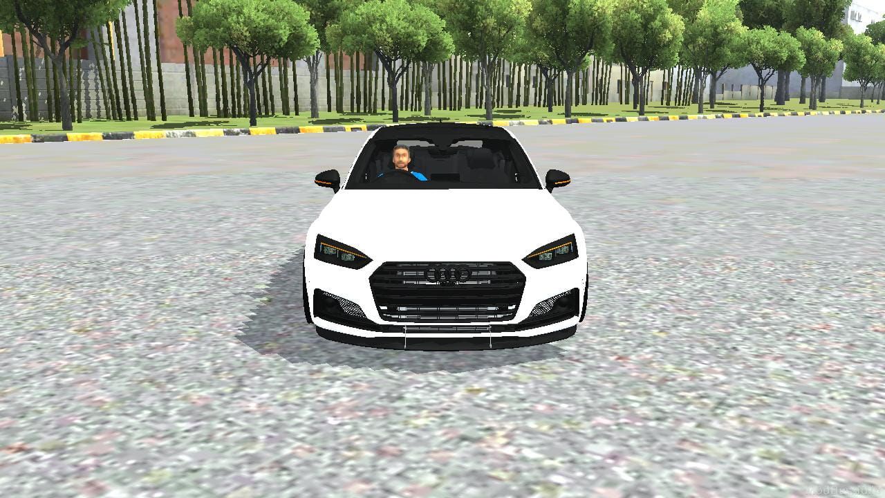 Photo of Audi S5 Sportback Wide Body 1