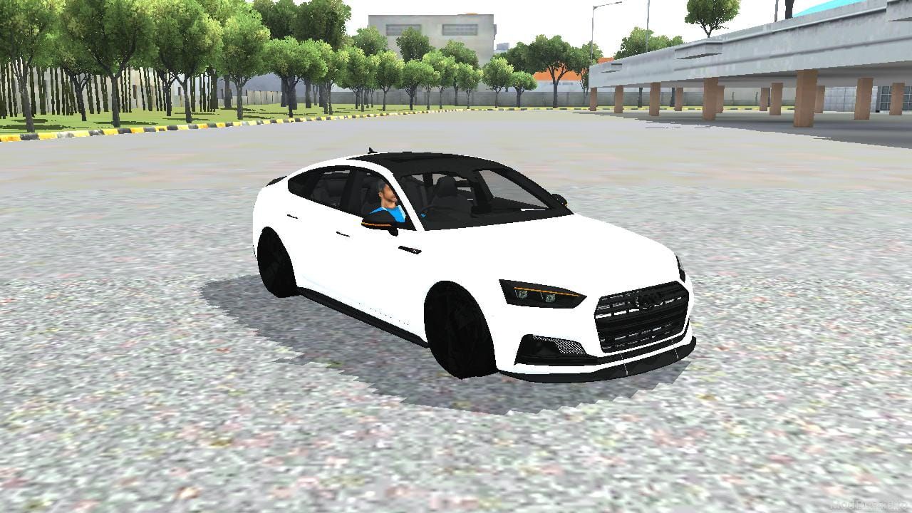 Photo of Audi S5 Sportback Wide Body 2