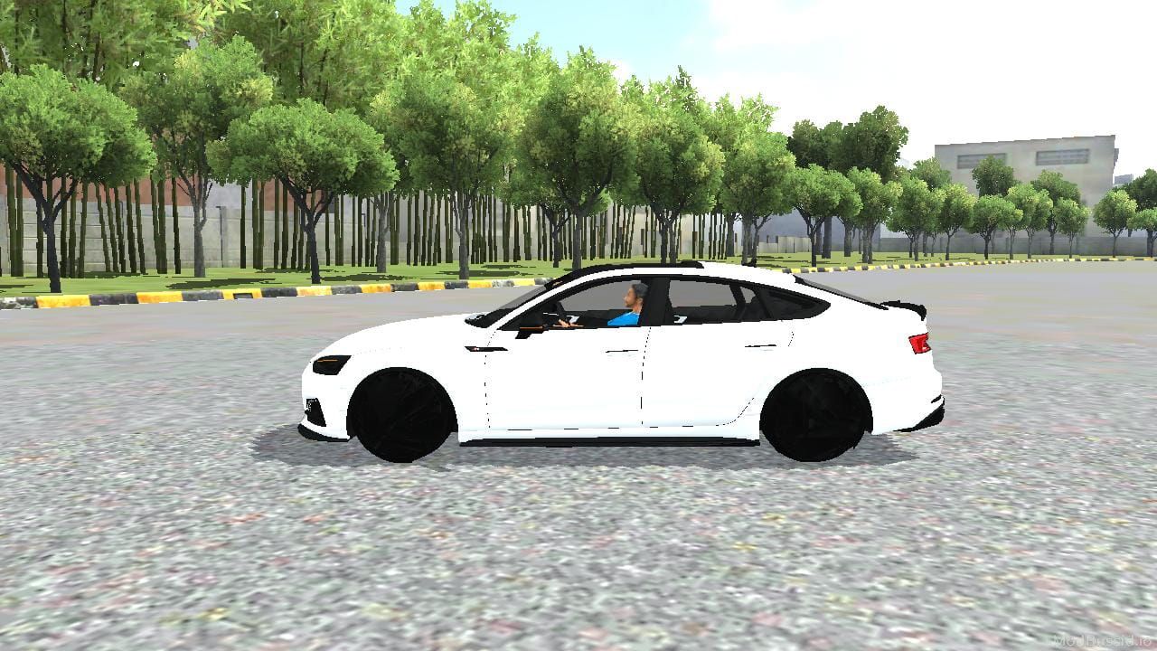 Photo of Audi S5 Sportback Wide Body 7