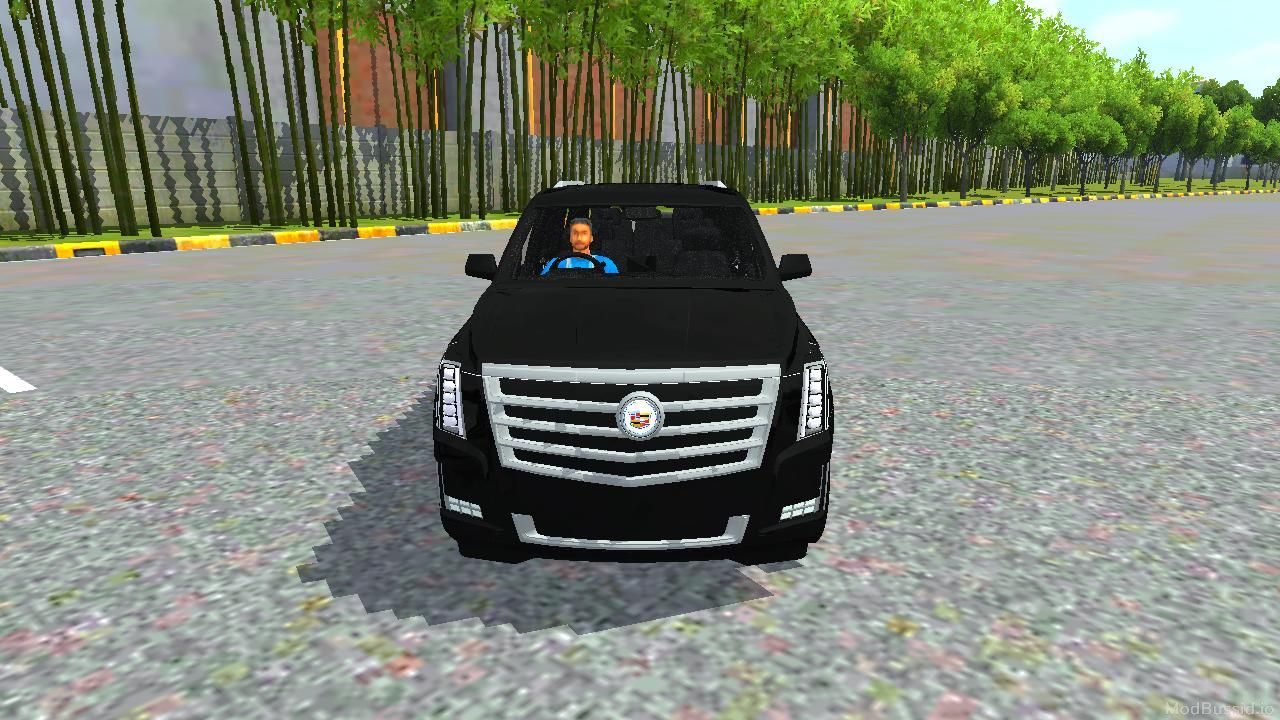 Photo of Cadillac Escalade Lafayette 2018 1
