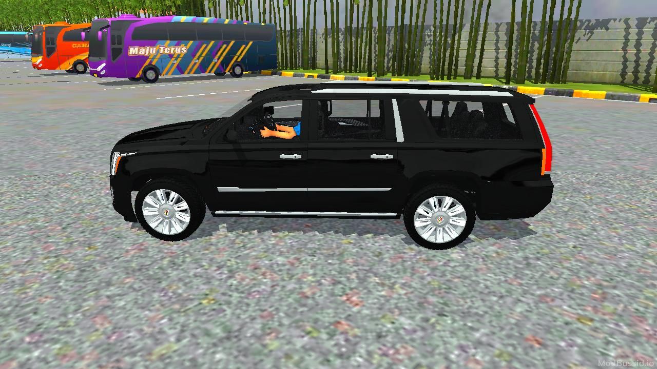 Photo of Cadillac Escalade Lafayette 2018 7