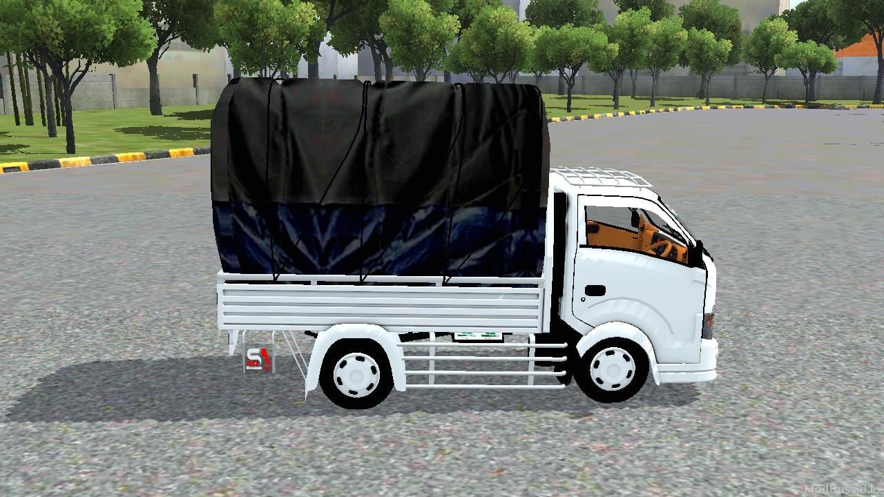 Photo of Traga Minimalis 3