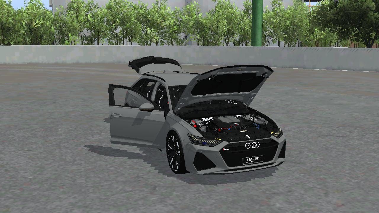 Photo of Audi RS6 Avant 9