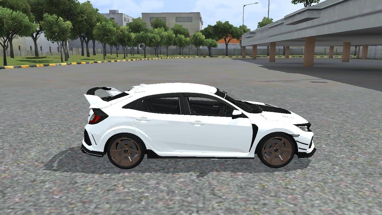 Photo of Honda Civic Type-T Varis 3