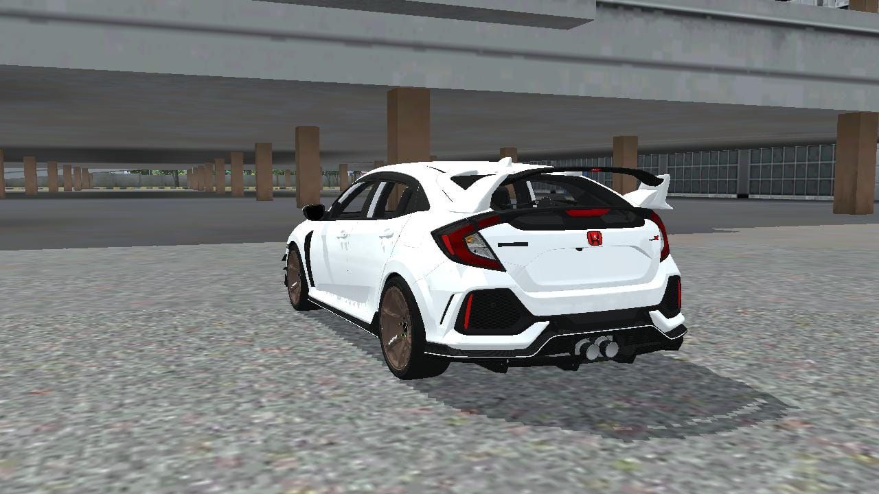 Photo of Honda Civic Type-T Varis 6