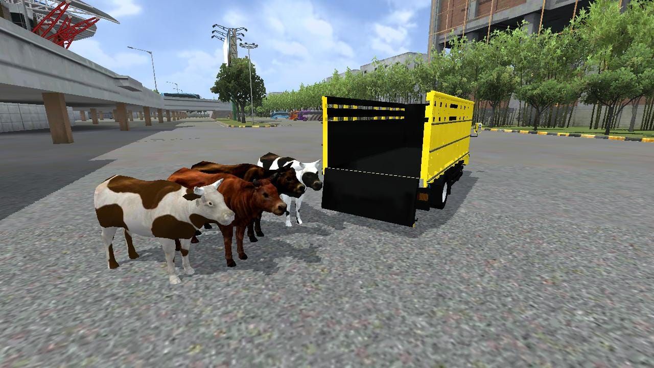 Photo of Truk Canter Muatan Sapi 9