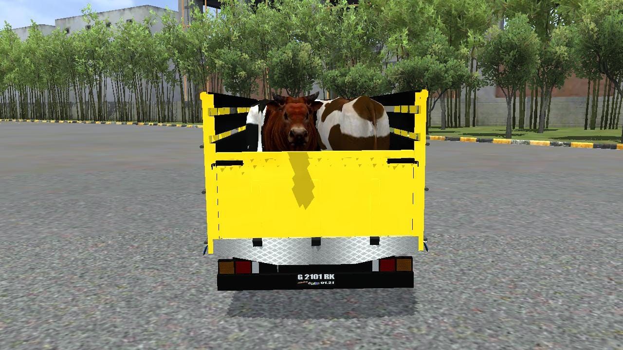 Photo of Truk Canter Muatan Sapi 5