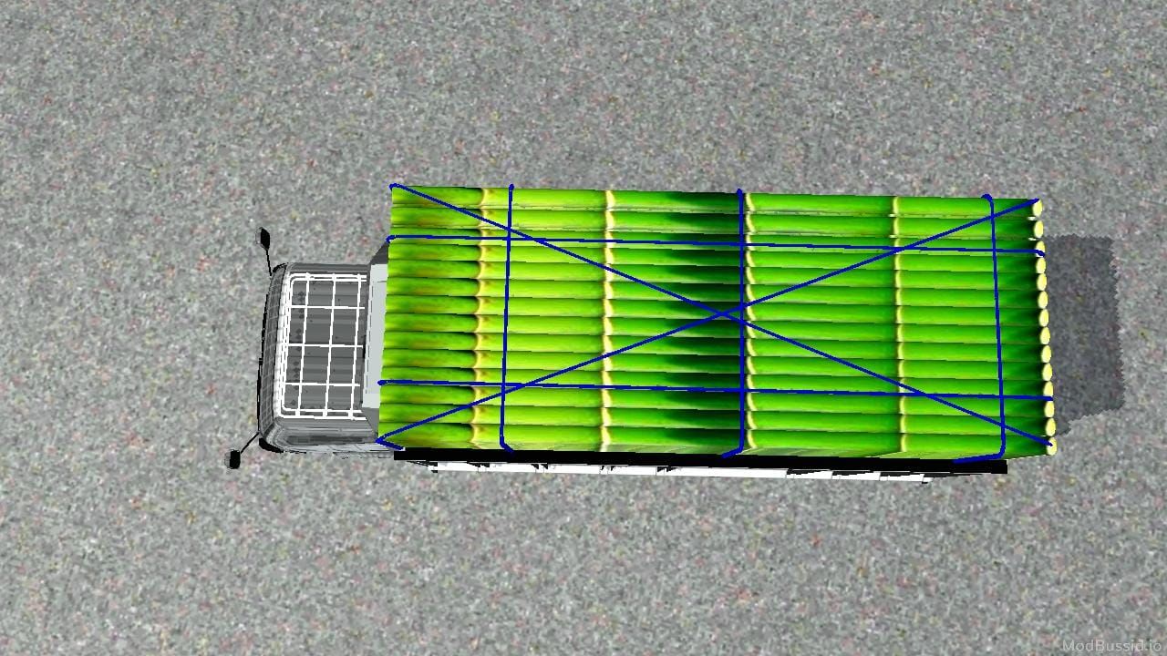 Photo of Canter Muat Bambu 8