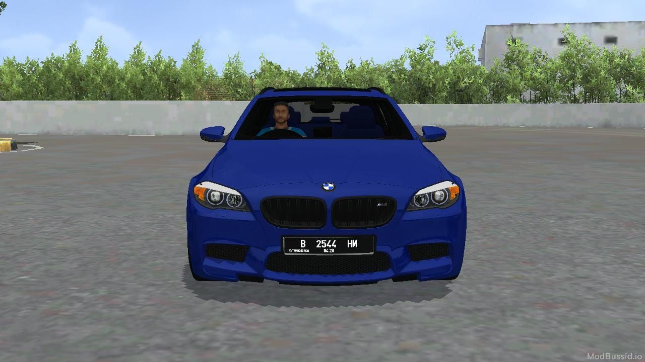 Photo of BMW M5 F11 Touring 1