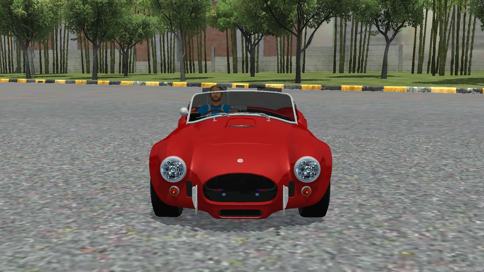 Photo of Ford Cobra 1